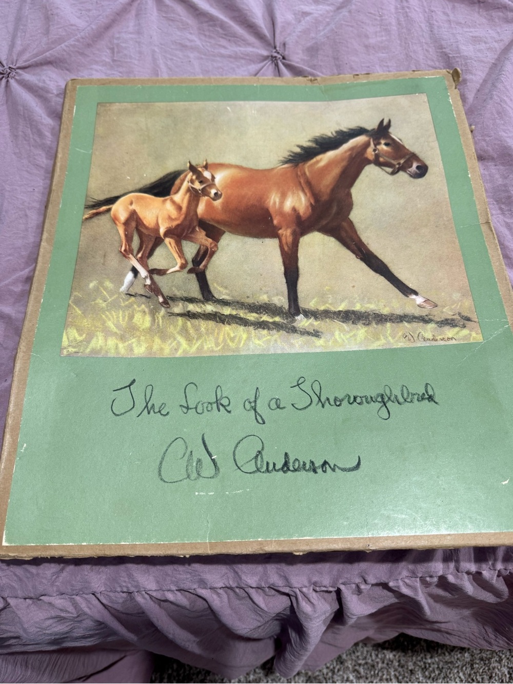 Vintage Thoroughbred Horse Print - Mare and Foal on Green Mat